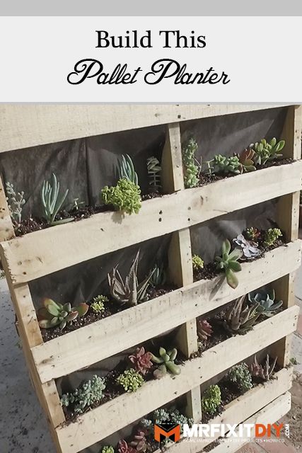 DIY vertical pallet garden