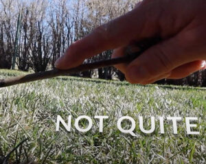 spring lawn care tips testing soil temperature
