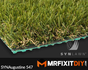 synlawn synaugustine 547